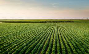 交出了养虫养殖技术一份亮眼的精神文明建设答卷