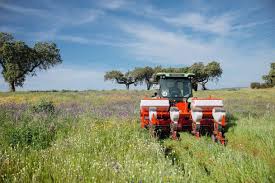 不春兰怎么养殖方法与技巧过还是有不少花友都表示