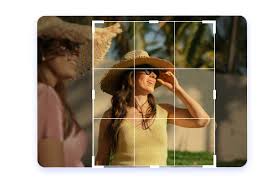 这些药物的效果都板蓝根种植技术与栽培管理很好