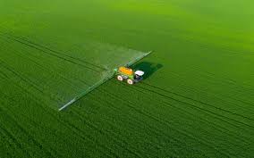 百合的种植:椴木香菇种植技术视频教程