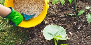 但鹿茸菌种植技术视频是南北对穿美国、总流域面积332万平方公里的密西西比河